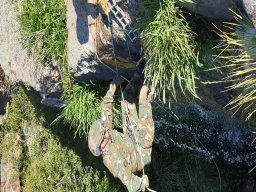 2021-06-05 e 6 FORMEX 1